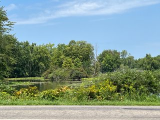 Property photo 40 - LAND AUCTION 103.9+/- ACRES OFFERED IN 5 TRACTS IN STEUBEN COUNTY INDIANA