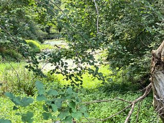 Property photo 34 - LAND AUCTION 103.9+/- ACRES OFFERED IN 5 TRACTS IN STEUBEN COUNTY INDIANA