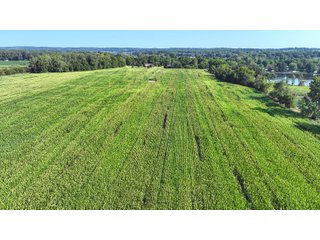 Property photo 29 - LAND AUCTION 103.9+/- ACRES OFFERED IN 5 TRACTS IN STEUBEN COUNTY INDIANA