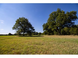 Property photo 6 - Wildhorse Creek 157 Ranch - IMMEDIATE POSSESSION for FALL 2024 HUNTING! 157+/- Acres with 1/2 Mile of WildHorse Creek - Offered in 2 Tracts IN RATLIFF CITY, OKLAHOMA