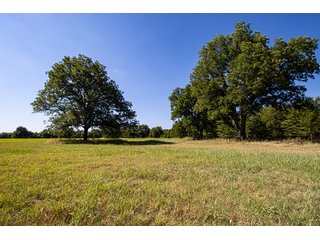 Property photo 7 - Wildhorse Creek 157 Ranch - IMMEDIATE POSSESSION for FALL 2024 HUNTING! 157+/- Acres with 1/2 Mile of WildHorse Creek - Offered in 2 Tracts IN RATLIFF CITY, OKLAHOMA