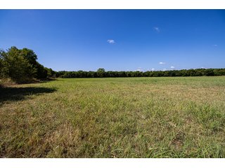 Property photo 8 - Wildhorse Creek 157 Ranch - IMMEDIATE POSSESSION for FALL 2024 HUNTING! 157+/- Acres with 1/2 Mile of WildHorse Creek - Offered in 2 Tracts IN RATLIFF CITY, OKLAHOMA