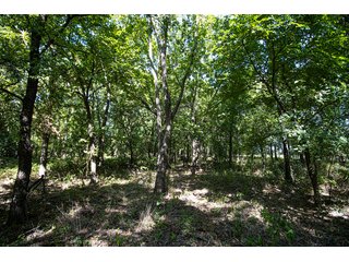 Property photo 9 - Wildhorse Creek 157 Ranch - IMMEDIATE POSSESSION for FALL 2024 HUNTING! 157+/- Acres with 1/2 Mile of WildHorse Creek - Offered in 2 Tracts IN RATLIFF CITY, OKLAHOMA