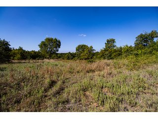 Property photo 12 - Wildhorse Creek 157 Ranch - IMMEDIATE POSSESSION for FALL 2024 HUNTING! 157+/- Acres with 1/2 Mile of WildHorse Creek - Offered in 2 Tracts IN RATLIFF CITY, OKLAHOMA