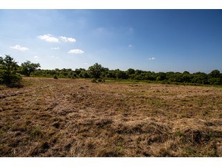 Property photo 14 - Wildhorse Creek 157 Ranch - IMMEDIATE POSSESSION for FALL 2024 HUNTING! 157+/- Acres with 1/2 Mile of WildHorse Creek - Offered in 2 Tracts IN RATLIFF CITY, OKLAHOMA