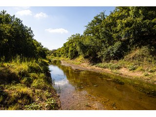 Property photo 15 - Wildhorse Creek 157 Ranch - IMMEDIATE POSSESSION for FALL 2024 HUNTING! 157+/- Acres with 1/2 Mile of WildHorse Creek - Offered in 2 Tracts IN RATLIFF CITY, OKLAHOMA