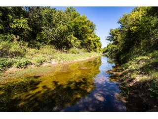 Property photo 16 - Wildhorse Creek 157 Ranch - IMMEDIATE POSSESSION for FALL 2024 HUNTING! 157+/- Acres with 1/2 Mile of WildHorse Creek - Offered in 2 Tracts IN RATLIFF CITY, OKLAHOMA