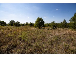 Property photo 18 - Wildhorse Creek 157 Ranch - IMMEDIATE POSSESSION for FALL 2024 HUNTING! 157+/- Acres with 1/2 Mile of WildHorse Creek - Offered in 2 Tracts IN RATLIFF CITY, OKLAHOMA