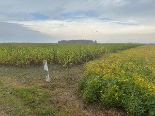 Property photo 3 - 30.8+/- ACRES LAND AUCTION OFFERED IN 2 TRACTS IN ALLEN COUNTY INDIANA