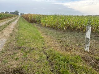 Property photo 4 - 30.8+/- ACRES LAND AUCTION OFFERED IN 2 TRACTS IN ALLEN COUNTY INDIANA