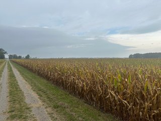 Property photo 5 - 30.8+/- ACRES LAND AUCTION OFFERED IN 2 TRACTS IN ALLEN COUNTY INDIANA