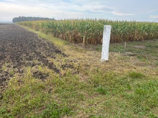 Property photo 6 - 30.8+/- ACRES LAND AUCTION OFFERED IN 2 TRACTS IN ALLEN COUNTY INDIANA