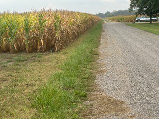 Property photo 12 - 30.8+/- ACRES LAND AUCTION OFFERED IN 2 TRACTS IN ALLEN COUNTY INDIANA