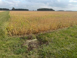 Property photo 24 - 30.8+/- ACRES LAND AUCTION OFFERED IN 2 TRACTS IN ALLEN COUNTY INDIANA