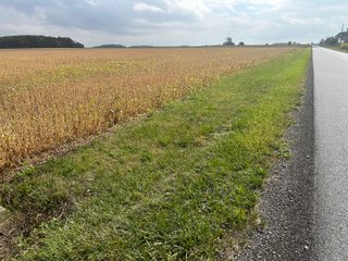 Property photo 23 - 30.8+/- ACRES LAND AUCTION OFFERED IN 2 TRACTS IN ALLEN COUNTY INDIANA