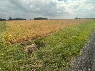 Property photo 22 - 30.8+/- ACRES LAND AUCTION OFFERED IN 2 TRACTS IN ALLEN COUNTY INDIANA