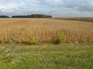 Property photo 21 - 30.8+/- ACRES LAND AUCTION OFFERED IN 2 TRACTS IN ALLEN COUNTY INDIANA