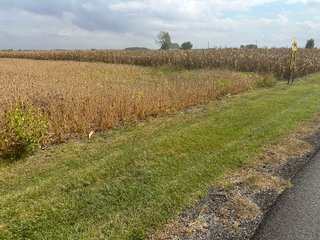Property photo 20 - 30.8+/- ACRES LAND AUCTION OFFERED IN 2 TRACTS IN ALLEN COUNTY INDIANA