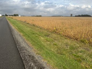 Property photo 18 - 30.8+/- ACRES LAND AUCTION OFFERED IN 2 TRACTS IN ALLEN COUNTY INDIANA