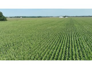 Property photo 16 - 30.8+/- ACRES LAND AUCTION OFFERED IN 2 TRACTS IN ALLEN COUNTY INDIANA