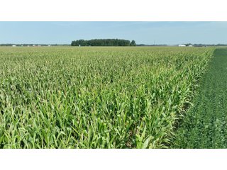 Property photo 10 - 30.8+/- ACRES LAND AUCTION OFFERED IN 2 TRACTS IN ALLEN COUNTY INDIANA