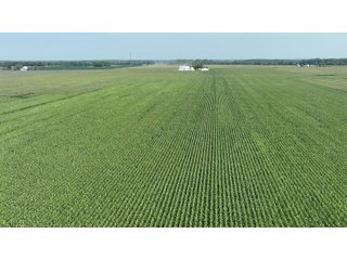 Property photo 8 - 30.8+/- ACRES LAND AUCTION OFFERED IN 2 TRACTS IN ALLEN COUNTY INDIANA