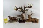 Property photo 57 - TIMED ONLINE ONLY PERSONAL PROPERTY AUCTION IN NOBLE COUNTY, INDIANA