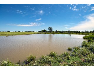 Property photo 77 - Eastern Oklahoma Land Auction - 855+/- Acres offered in 21 Tracts - Diverse Offering of Quality Ranch Land Near the I-40 Corridor
