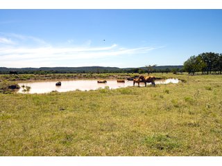 Property photo 34 - Eastern Oklahoma Land Auction - 855+/- Acres offered in 21 Tracts - Diverse Offering of Quality Ranch Land Near the I-40 Corridor