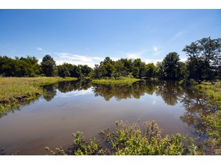 Property photo 86 - Eastern Oklahoma Land Auction - 855+/- Acres offered in 21 Tracts - Diverse Offering of Quality Ranch Land Near the I-40 Corridor