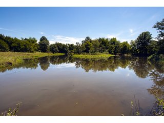 Property photo 87 - Eastern Oklahoma Land Auction - 855+/- Acres offered in 21 Tracts - Diverse Offering of Quality Ranch Land Near the I-40 Corridor