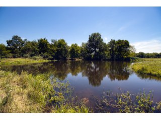 Property photo 88 - Eastern Oklahoma Land Auction - 855+/- Acres offered in 21 Tracts - Diverse Offering of Quality Ranch Land Near the I-40 Corridor