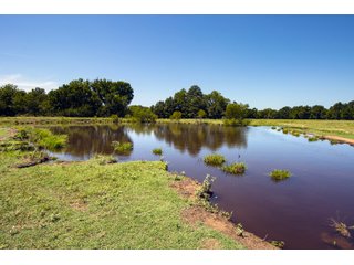 Property photo 92 - Eastern Oklahoma Land Auction - 855+/- Acres offered in 21 Tracts - Diverse Offering of Quality Ranch Land Near the I-40 Corridor