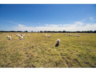 Property photo 94 - Eastern Oklahoma Land Auction - 855+/- Acres offered in 21 Tracts - Diverse Offering of Quality Ranch Land Near the I-40 Corridor