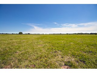 Property photo 96 - Eastern Oklahoma Land Auction - 855+/- Acres offered in 21 Tracts - Diverse Offering of Quality Ranch Land Near the I-40 Corridor