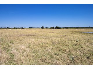 Property photo 98 - Eastern Oklahoma Land Auction - 855+/- Acres offered in 21 Tracts - Diverse Offering of Quality Ranch Land Near the I-40 Corridor