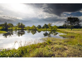 Property photo 100 - Eastern Oklahoma Land Auction - 855+/- Acres offered in 21 Tracts - Diverse Offering of Quality Ranch Land Near the I-40 Corridor