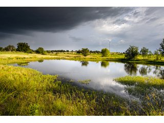 Property photo 101 - Eastern Oklahoma Land Auction - 855+/- Acres offered in 21 Tracts - Diverse Offering of Quality Ranch Land Near the I-40 Corridor