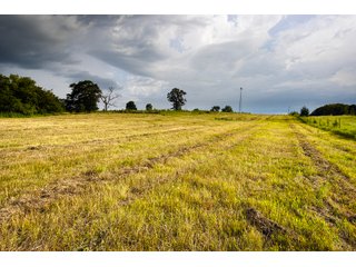 Property photo 103 - Eastern Oklahoma Land Auction - 855+/- Acres offered in 21 Tracts - Diverse Offering of Quality Ranch Land Near the I-40 Corridor