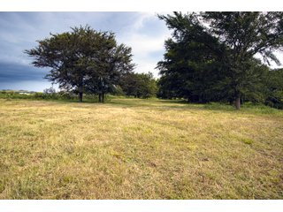 Property photo 108 - Eastern Oklahoma Land Auction - 855+/- Acres offered in 21 Tracts - Diverse Offering of Quality Ranch Land Near the I-40 Corridor