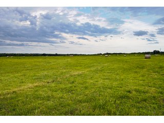 Property photo 111 - Eastern Oklahoma Land Auction - 855+/- Acres offered in 21 Tracts - Diverse Offering of Quality Ranch Land Near the I-40 Corridor