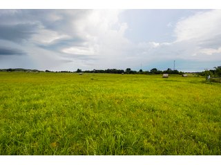 Property photo 112 - Eastern Oklahoma Land Auction - 855+/- Acres offered in 21 Tracts - Diverse Offering of Quality Ranch Land Near the I-40 Corridor