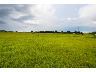 Property photo 113 - Eastern Oklahoma Land Auction - 855+/- Acres offered in 21 Tracts - Diverse Offering of Quality Ranch Land Near the I-40 Corridor