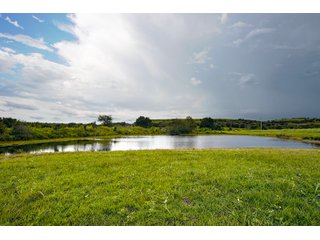 Property photo 115 - Eastern Oklahoma Land Auction - 855+/- Acres offered in 21 Tracts - Diverse Offering of Quality Ranch Land Near the I-40 Corridor