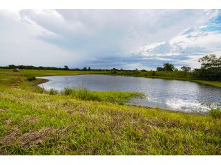 Property photo 116 - Eastern Oklahoma Land Auction - 855+/- Acres offered in 21 Tracts - Diverse Offering of Quality Ranch Land Near the I-40 Corridor