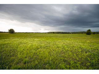 Property photo 119 - Eastern Oklahoma Land Auction - 855+/- Acres offered in 21 Tracts - Diverse Offering of Quality Ranch Land Near the I-40 Corridor