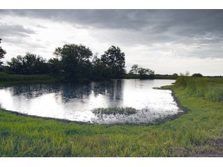 Property photo 120 - Eastern Oklahoma Land Auction - 855+/- Acres offered in 21 Tracts - Diverse Offering of Quality Ranch Land Near the I-40 Corridor