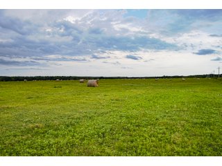 Property photo 124 - Eastern Oklahoma Land Auction - 855+/- Acres offered in 21 Tracts - Diverse Offering of Quality Ranch Land Near the I-40 Corridor