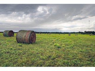 Property photo 126 - Eastern Oklahoma Land Auction - 855+/- Acres offered in 21 Tracts - Diverse Offering of Quality Ranch Land Near the I-40 Corridor