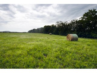 Property photo 129 - Eastern Oklahoma Land Auction - 855+/- Acres offered in 21 Tracts - Diverse Offering of Quality Ranch Land Near the I-40 Corridor